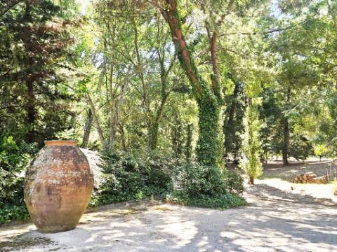 Quintinha de 10154m2 com moradia T5 e piscina, na Herdade Zambujeiro, Santo Estêvão