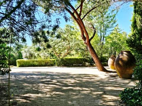 Quintinha de 10154m2 com moradia T5 e piscina, na Herdade Zambujeiro, Santo Estêvão