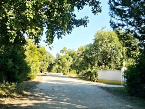 Quintinha de 10154m2 com moradia T5 e piscina, na Herdade Zambujeiro, Santo Estêvão