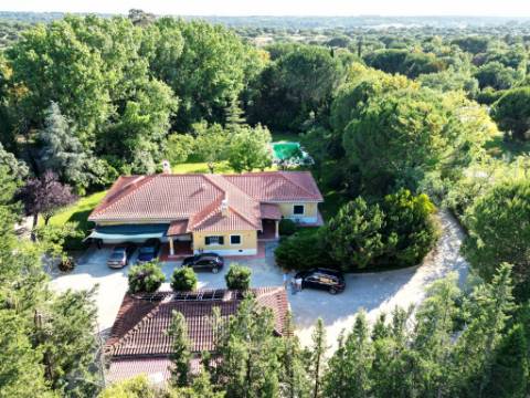Quintinha de 10154m2 com moradia T5 e piscina, na Herdade Zambujeiro, Santo Estêvão