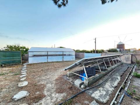 Excelente moradia T4 + 2 com piscina e jardins na Serra Del Rei, Peniche