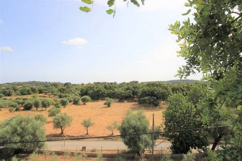 Moradia isolada com dois artigos