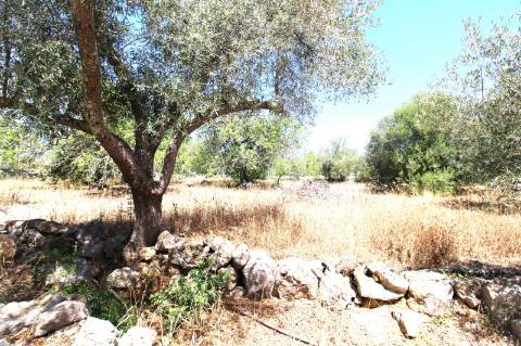 CASA T4 EM ZONA CAMPESTRE