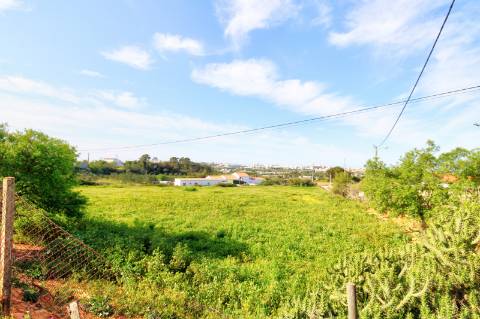 Terreno rústico com enorme potencial.