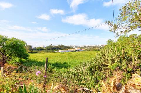 Terreno rústico com enorme potencial.