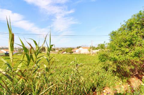 Terreno rústico com enorme potencial.