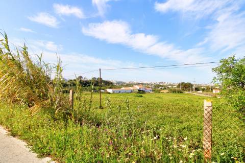 Terreno rústico com enorme potencial.