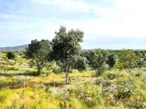 TERRENO COM RUINA, QUELFES, OLHÃO