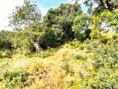 TERRENO COM RUINA, QUELFES, OLHÃO