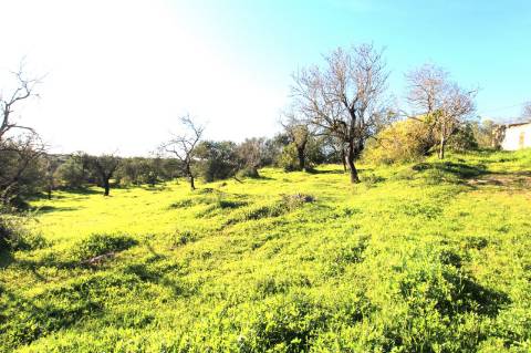 TERRENO MISTO COM 2 RUINAS, PECHÃO