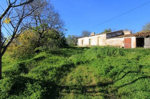 TERRENO MISTO COM 2 RUINAS, PECHÃO