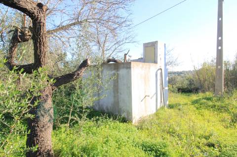 TERRENO MISTO COM 2 RUINAS, PECHÃO