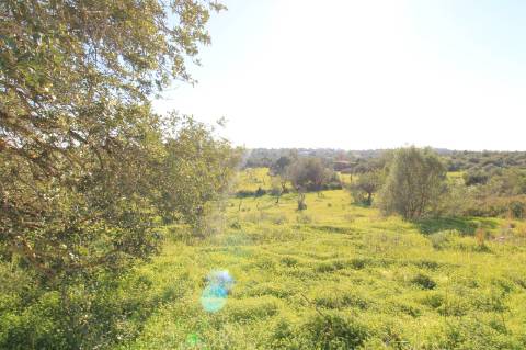 TERRENO MISTO COM 2 RUINAS, PECHÃO