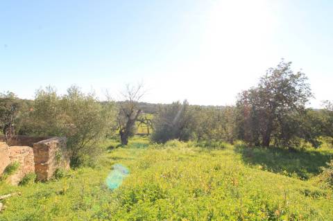 TERRENO MISTO COM 2 RUINAS, PECHÃO