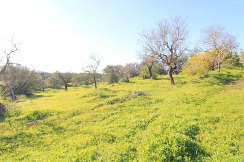 TERRENO MISTO COM 2 RUINAS, PECHÃO