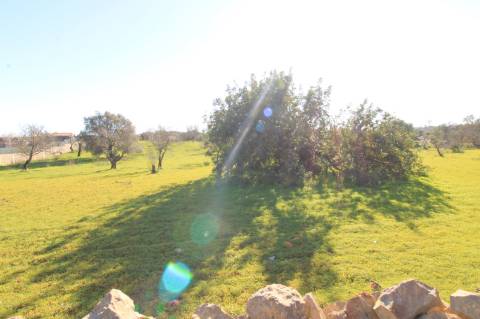 TERRENO MISTO COM 2 RUINAS, PECHÃO