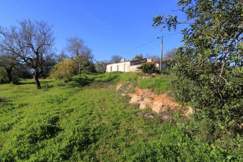 TERRENO MISTO COM 2 RUINAS, PECHÃO