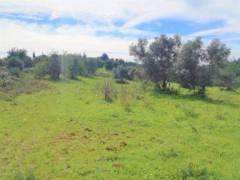 Terreno Rústico, vista Mar e Serra.