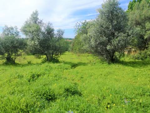 Terreno Rústico, vista Mar e Serra.