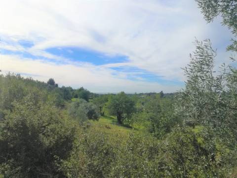 Terreno Rústico, vista Mar e Serra.