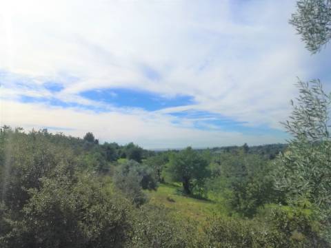 Terreno Rústico, vista Mar e Serra.