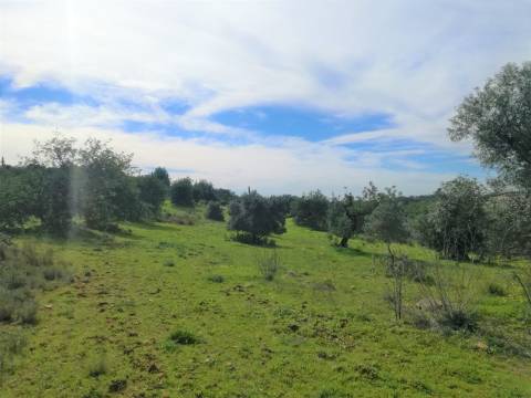 Terreno Rústico, vista Mar e Serra.