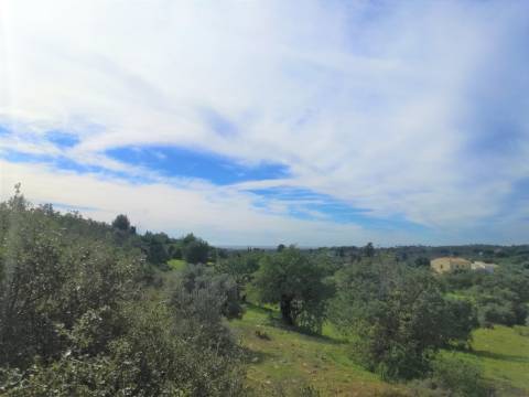 Terreno Rústico, vista Mar e Serra.