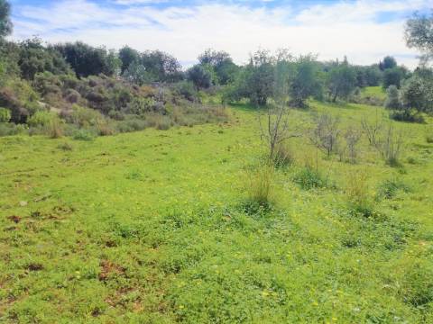 Terreno Rústico, vista Mar e Serra.
