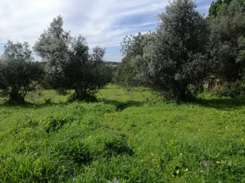 Terreno Rústico, vista Mar e Serra.