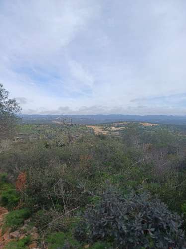 Terreno misto com ruina. Barranco de São Miguel.