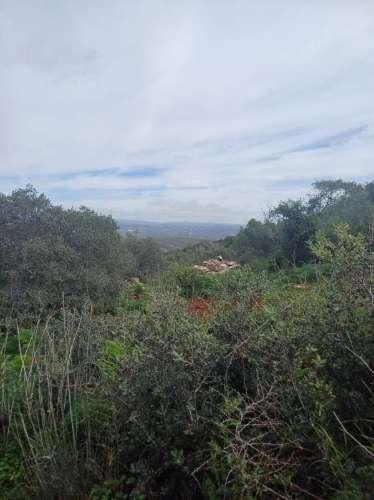 Terreno misto com ruina. Barranco de São Miguel.