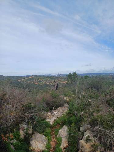 Terreno misto com ruina. Barranco de São Miguel.