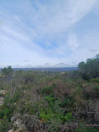 Terreno misto com ruina. Barranco de São Miguel.