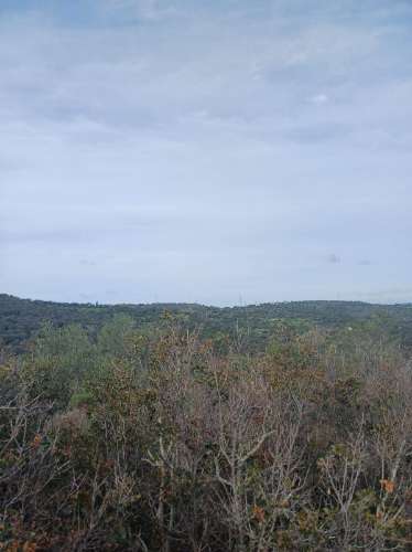 Terreno misto com ruina. Barranco de São Miguel.