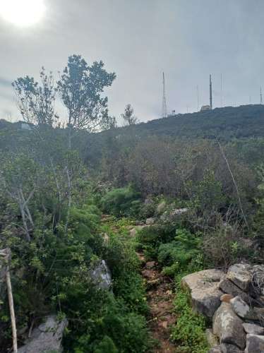 Terreno misto com ruina. Barranco de São Miguel.