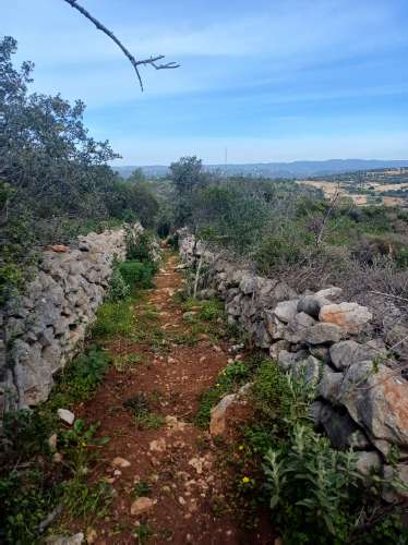 Terreno misto com ruina. Barranco de São Miguel.