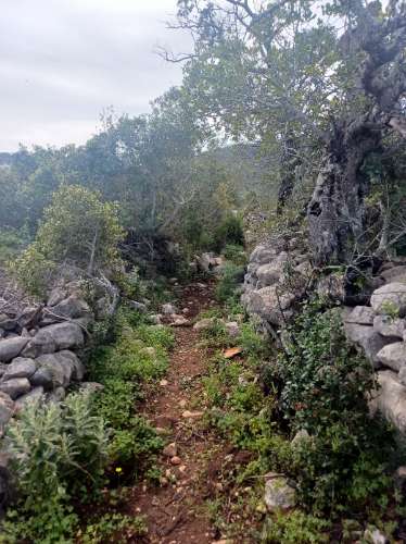 Terreno misto com ruina. Barranco de São Miguel.