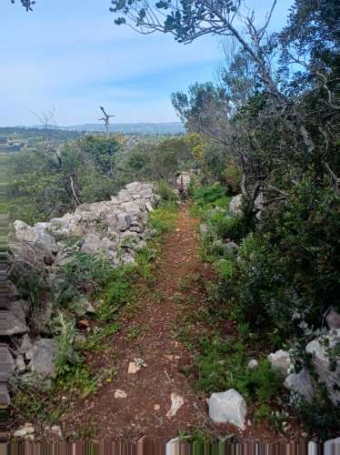 Terreno misto com ruina. Barranco de São Miguel.