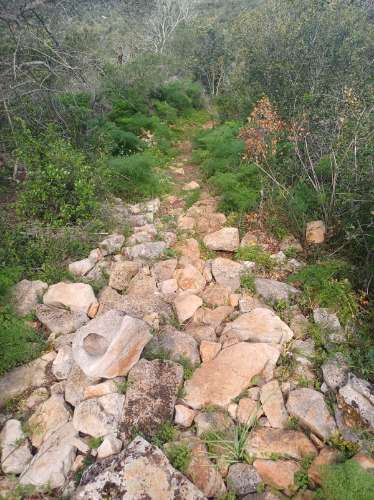Terreno misto com ruina. Barranco de São Miguel.