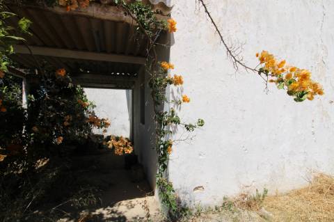 CONJUNTO DE 3 MORADIAS, 1 ARMAZÉM, VENDA CONJUNTA OU INDIVIDUAL,TAVIRA