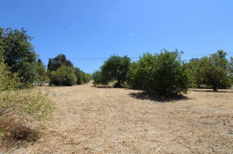 CONJUNTO DE 3 MORADIAS, 1 ARMAZÉM, VENDA CONJUNTA OU INDIVIDUAL,TAVIRA