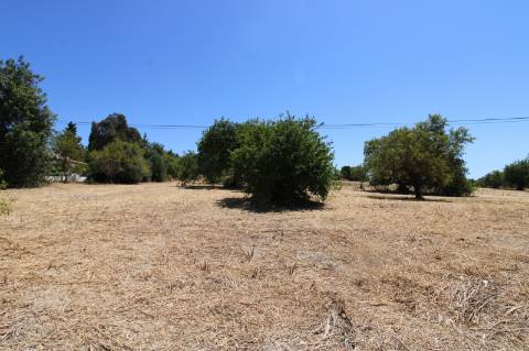 CONJUNTO DE 3 MORADIAS, 1 ARMAZÉM, VENDA CONJUNTA OU INDIVIDUAL,TAVIRA