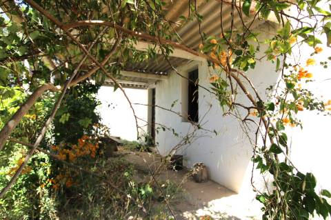 CONJUNTO DE 3 MORADIAS, 1 ARMAZÉM, VENDA CONJUNTA OU INDIVIDUAL,TAVIRA