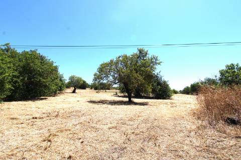 CONJUNTO DE 3 MORADIAS, 1 ARMAZÉM, VENDA CONJUNTA OU INDIVIDUAL,TAVIRA