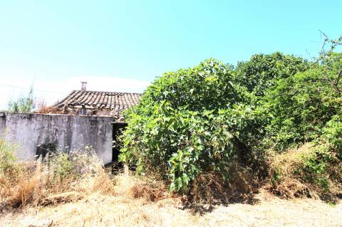 CONJUNTO DE 3 MORADIAS, 1 ARMAZÉM, VENDA CONJUNTA OU INDIVIDUAL,TAVIRA