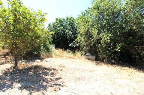 CONJUNTO DE 3 MORADIAS, 1 ARMAZÉM, VENDA CONJUNTA OU INDIVIDUAL,TAVIRA