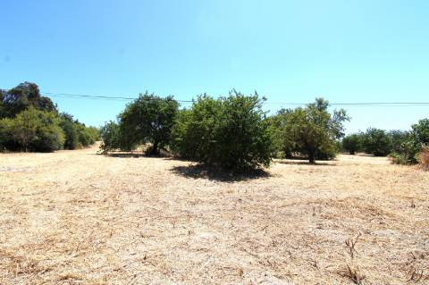 CONJUNTO DE 3 MORADIAS, 1 ARMAZÉM, VENDA CONJUNTA OU INDIVIDUAL,TAVIRA