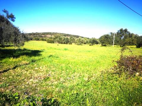 Terreno Rústico Pechão, zona calma, bonita