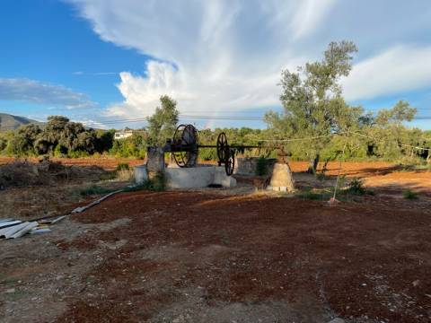 Moradia Térrea, Olhão