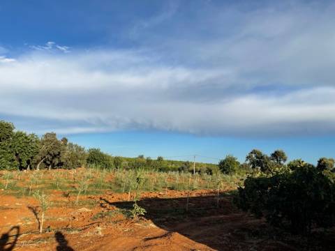 Moradia Térrea, Olhão